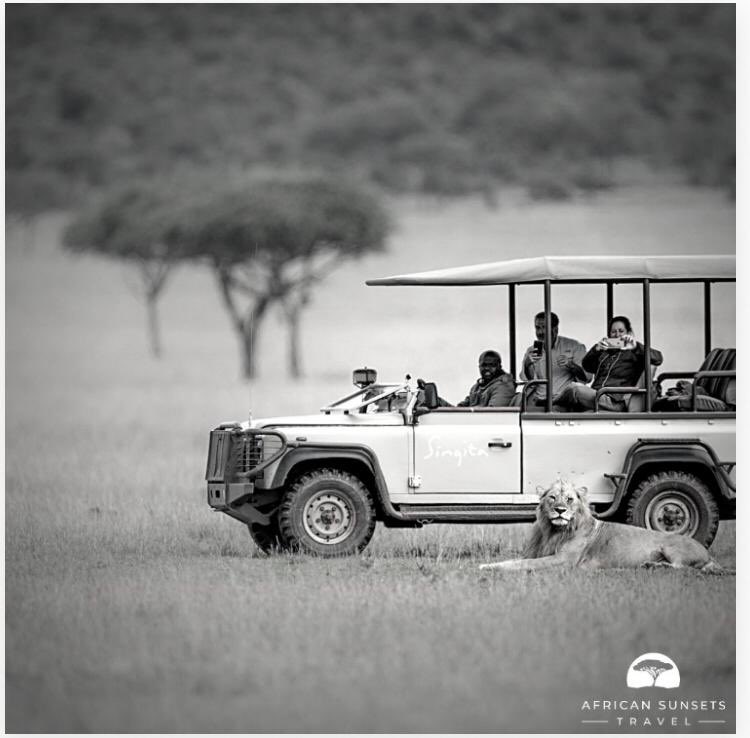 ASunsetsTravel's tweet photo. Looking to spend a luxurious vacation in Southern Africa, but you’re thinking about your impact on the environment?Singita’s breathe taking lodges and private villa’s who are committed to serving you with environmentally conscious hospitality.      
#singita #africa #environment https://t.co/0aliU1GB72
