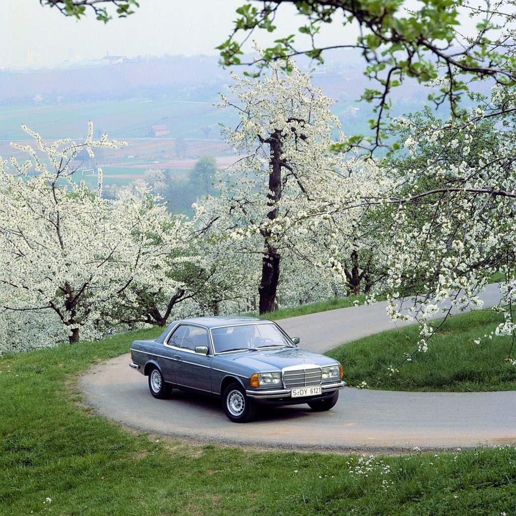 En çekici Coupé olmak yıldızlar için bir gelenektir 😎⭐

#mercedesbenz #mercedes #ecoupe #ccoupe #thebestornothing #istanbul #perşembe #throwbackthursday #throwback #tbt #star #lüksaraçlar #bostancı #kadıköy #anadoluyakası #ataşehir #kozyatağı #bağdatcaddesi #suadiye #maltepe