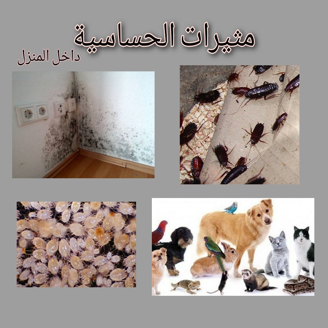 f1h1d2's tweet image. عدم إستجابة مريض حساسية الأنف للأدوية بالشكل المرضي قد يكون بسبب وجود مثيرات الحساسية في الوسط القريب منه في المنزل وداخل غرف النوم.