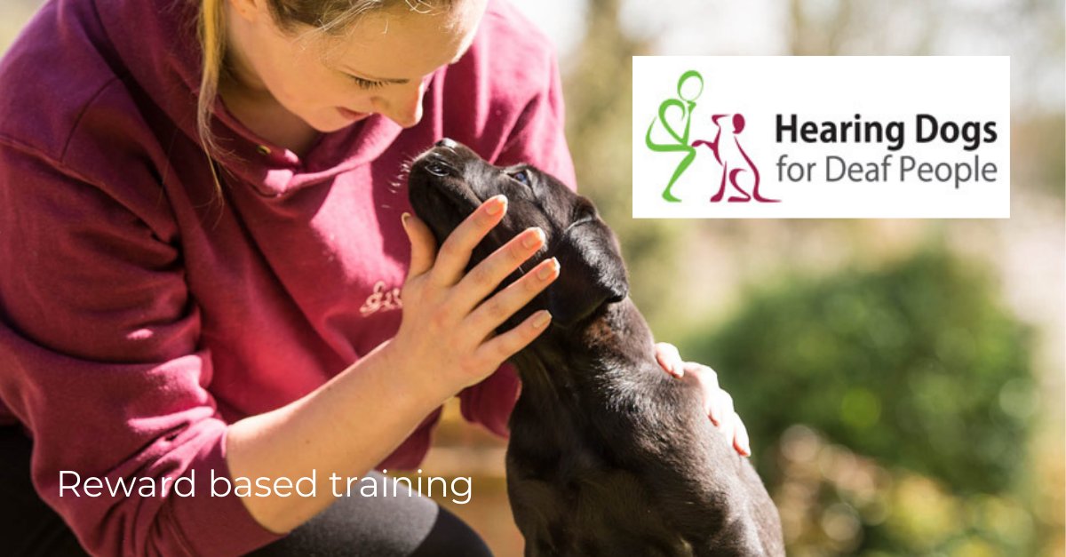 Read @HearingDogs for Deaf People's article on reward-based training and use their recipe to make Liver Cake, for the perfect puppy treat!

hearingdogs.org.uk/training-our-p…

#bowjangle #puppytraining #puppytrainingtips