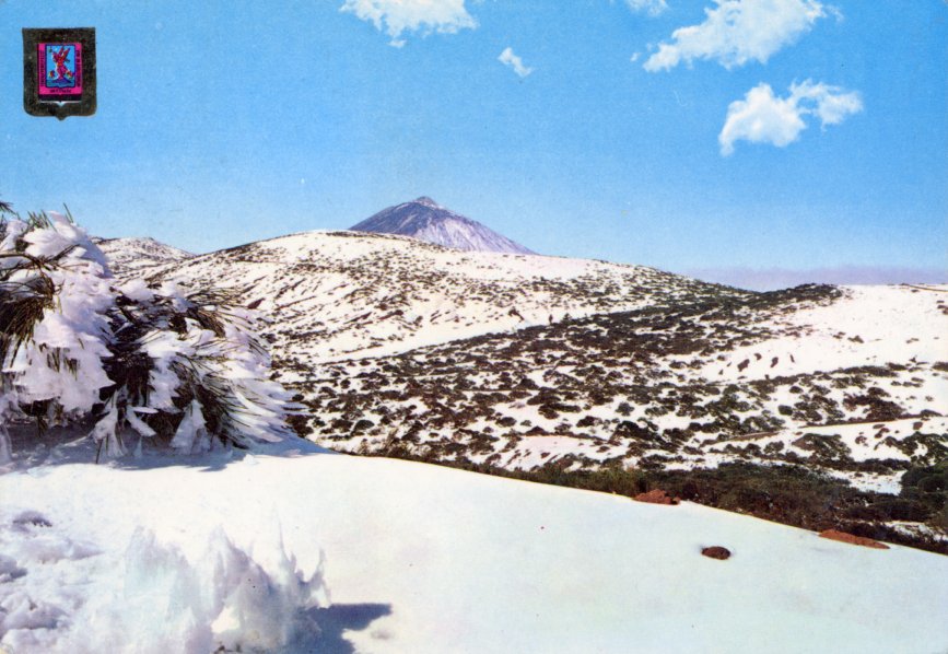 PastPostcard's tweet image. I thought someone said it was all topless out here - no chance.