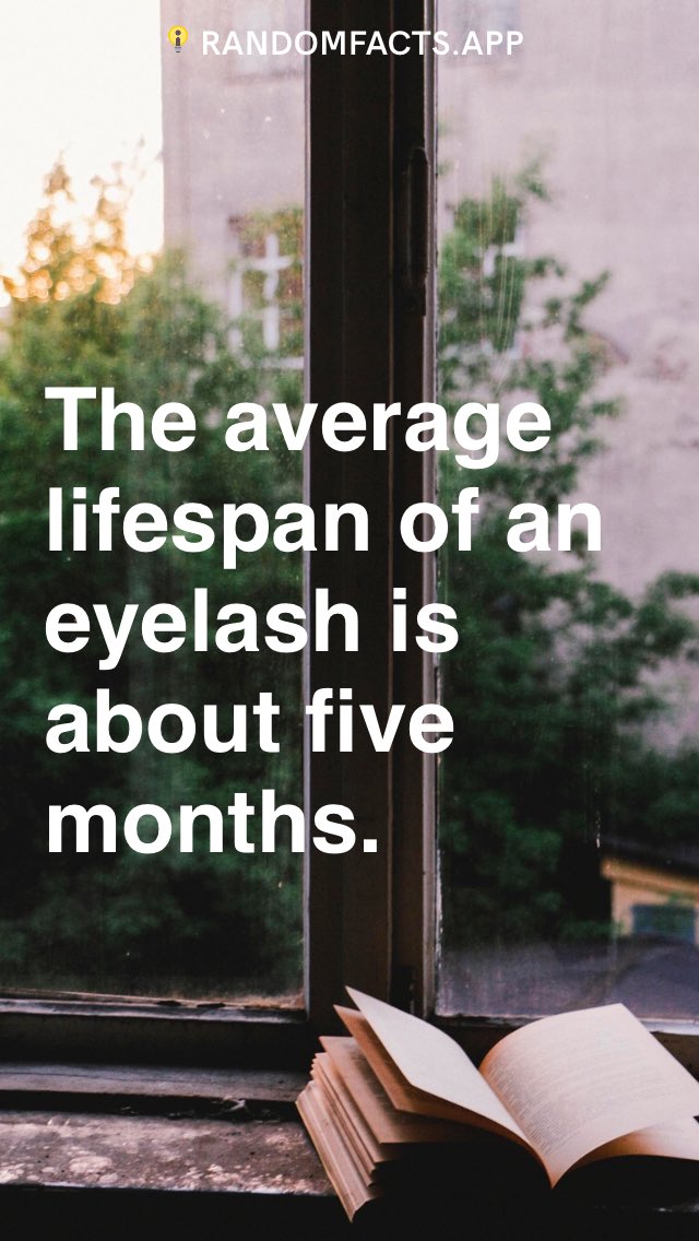 DondivaLearning's tweet photo. The average lifespan of an eyelash is about five months. 
#DidYouKnow #RandomFacts https://t.co/eSNbc9AZjk