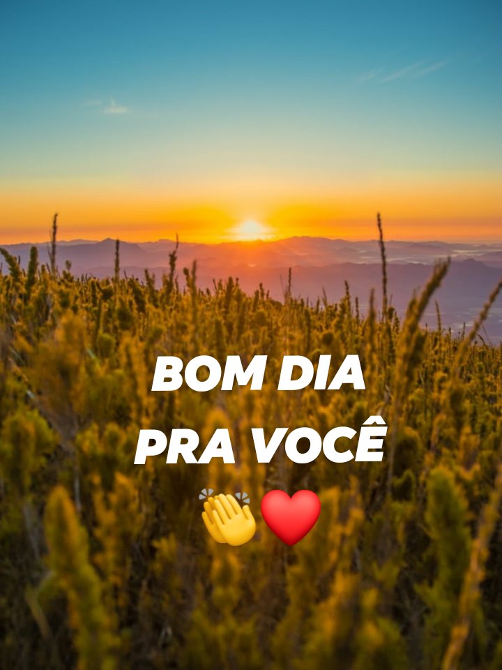 JuarezLopesdos4's tweet photo. https://t.co/LtfKSqi2O2