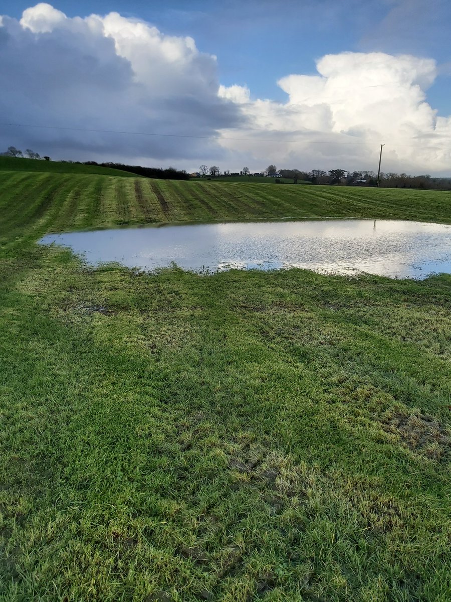 Musgrav60905348's tweet photo. Zero grazed yesterday, time to buy ducks today🤔 https://t.co/NuuQrBDt3q