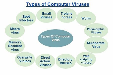 Types of malware. Тайп вирусы. Types of malware viruses. Computer viruses classification. Types of viruses.