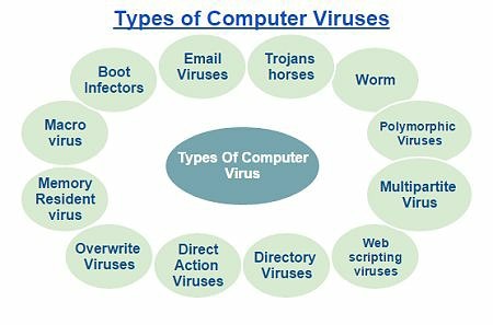 Types of viruses. Types of Computer viruses. Computer viruses classification. What is a Computer virus.