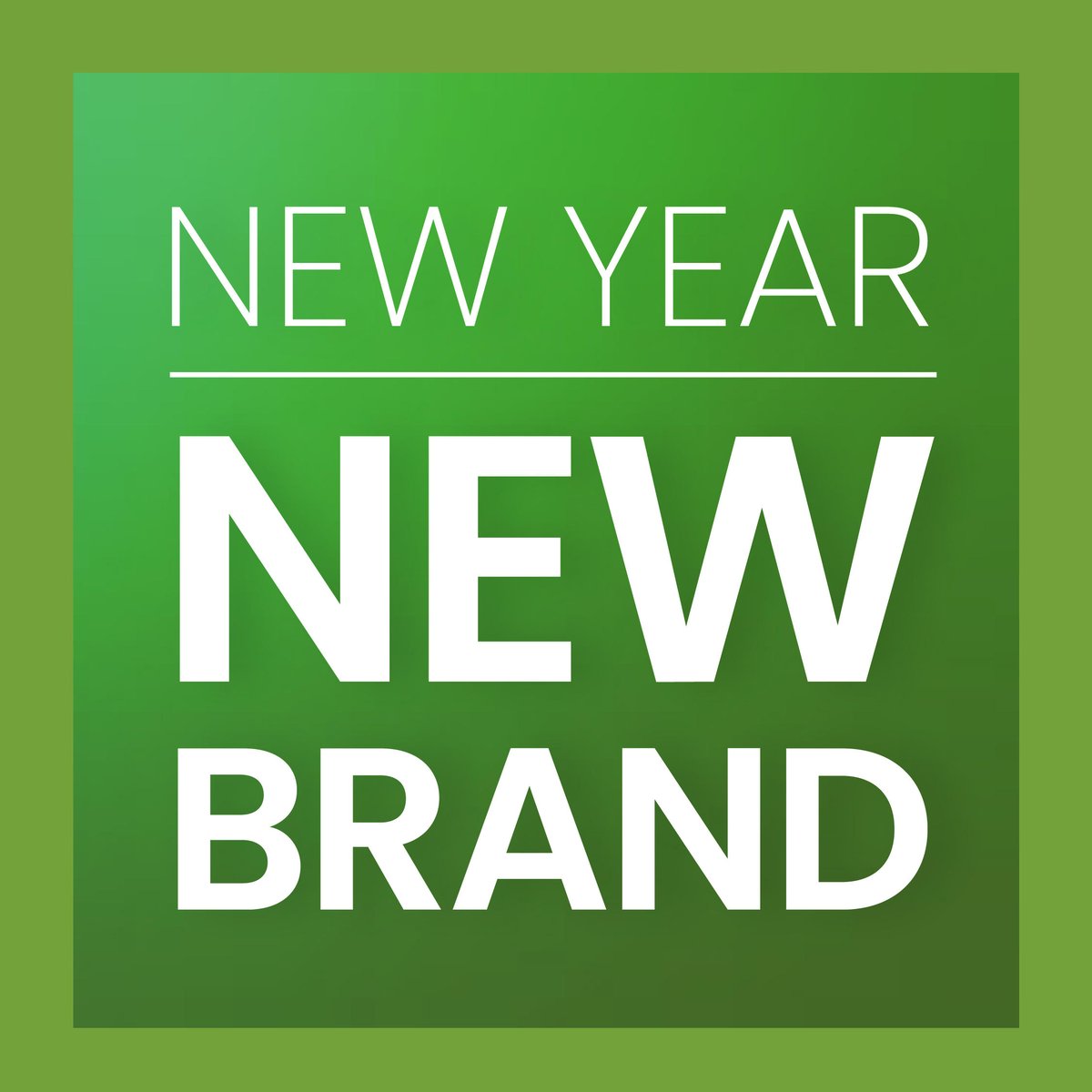 NECS Building Group tweet media