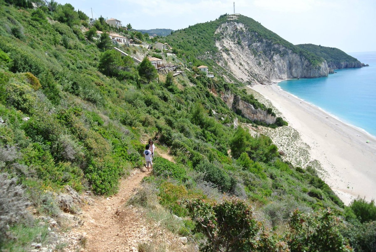 Travel Professionals tweet media