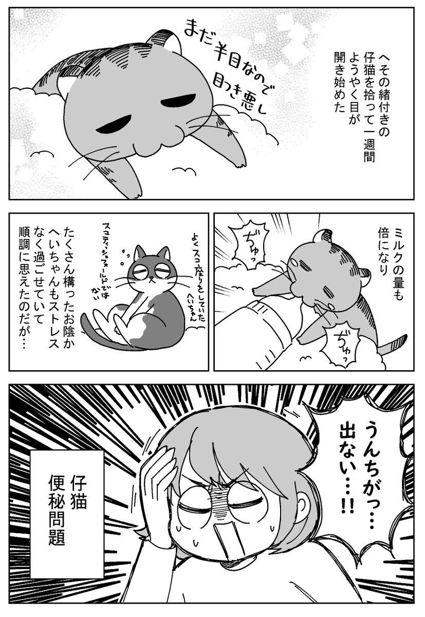 へその緒がついた子猫を拾ったその後のお話。子猫便秘問題。 