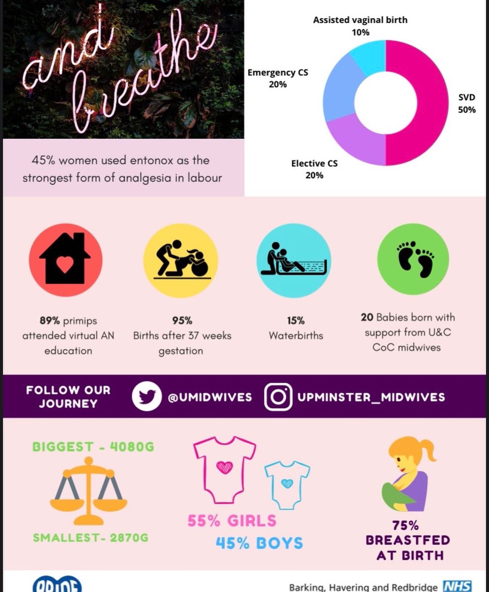 UMidwives's tweet photo. Wow! What a month January was.....
✨ 100% of birth attended by U&amp;C midwives
✨ 70% women had their named or buddy midwife supporting them for birth 👶 
✨ 20% babies were born at home 🏡 
✨ 15% Babies born in water 💦.              #continuityofcare #betterbirths #midwife https://t.co/kZSYQu9XZW