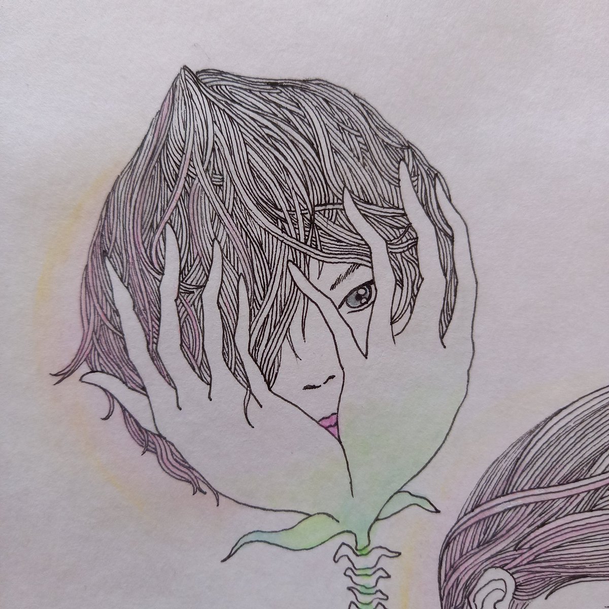 Twoucan 植物イラスト の注目ツイート イラスト マンガ コスプレ モデル Twoucan 植物イラスト の注目ツイート イラスト マンガ コスプレ モデル