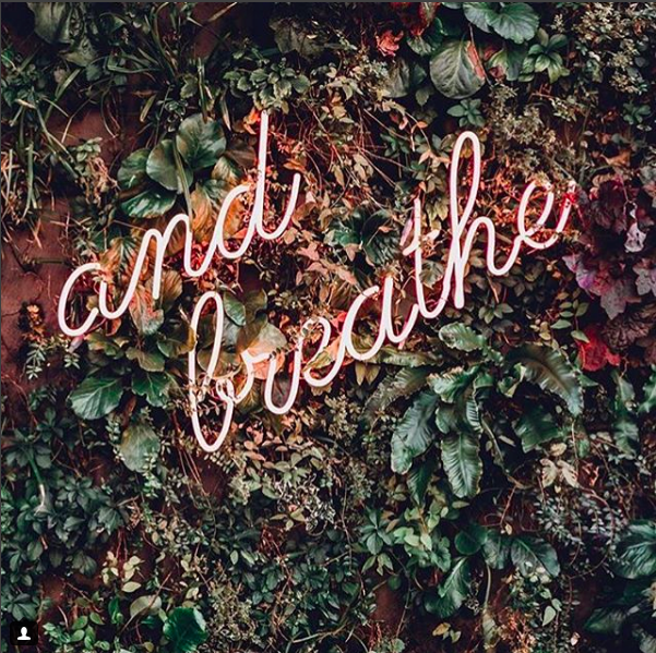 OurHourOff's tweet image. If you're finding it hard to slow down and feel calm try and find the time to ditch the screens and head outside (whatever the weather) and search for signs of Spring! 🌱🌱🌱🌱 It doesn't have to be an empty forest, it might be your own garden or a local park 💪 #OurHourOff