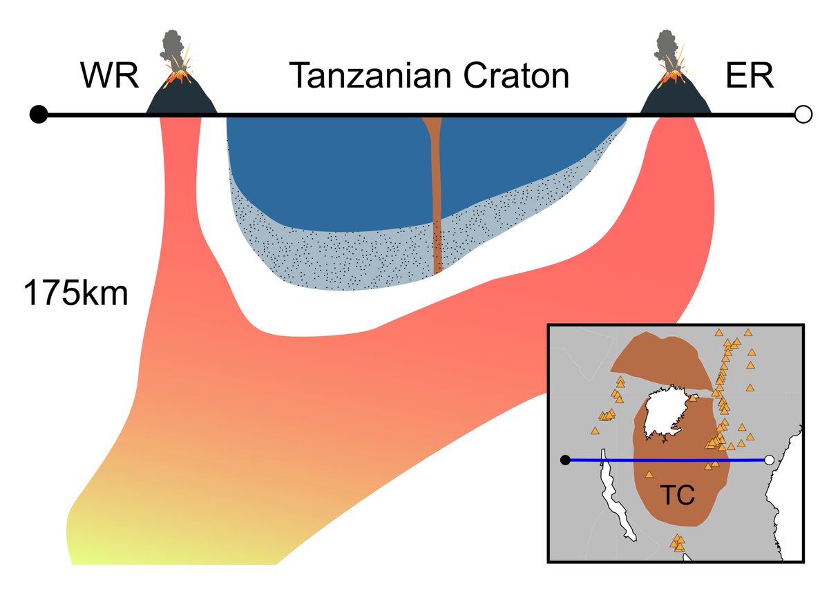(1/2) 📜 #NewPaperAlert in <a href="/AGU_GCubed/">G3</a> - the first from my postdoc at <a href="/EarthSciCam/">Cambridge Earth Sciences</a> in collab. with <a href="/ESEImperial/">Imperial Earth Science & Engineering</a>! We use P-waves to image the mantle below Africa 🌍 and investigate mantle plumes and ancient continental cores.

doi.org/10.1029/2020GC…

<a href="/NERCscience/">Natural Environment Research Council</a> #Seismology