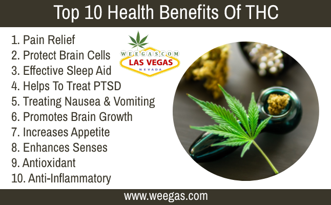 weegasdotcom's tweet photo. Top 10 #health #benefits Of #THC:
1. Pain Relief
2. Protect Brain Cells
3. Effective Sleep Aid
4. Helps To Treat PTSD
5. Treating Nausea &amp; Vomiting 
6. Promotes Brain Growth
7. Increases Appetite
8. Enhances Senses
9. Antioxidant
10. Anti-Inflammatory
#Medical #CBD https://t.co/NRWMZeX7GY