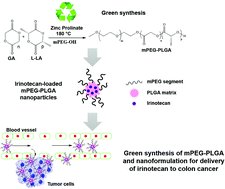 Green synthesis of methoxy-poly(ethylene glycol)-block-poly(l-lactide-co-glycolide) copolymer using zinc proline as a biocompatible initiator for irinotecan delivery to colon cancer in vivo led by Julie Wang, Baijayantimala Garnaik &amp; <a href="/aljamal_khuloud/">Khuloud Al-Jamal FRPharmS FRSC</a>, ow.ly/nrlg50DwKwK