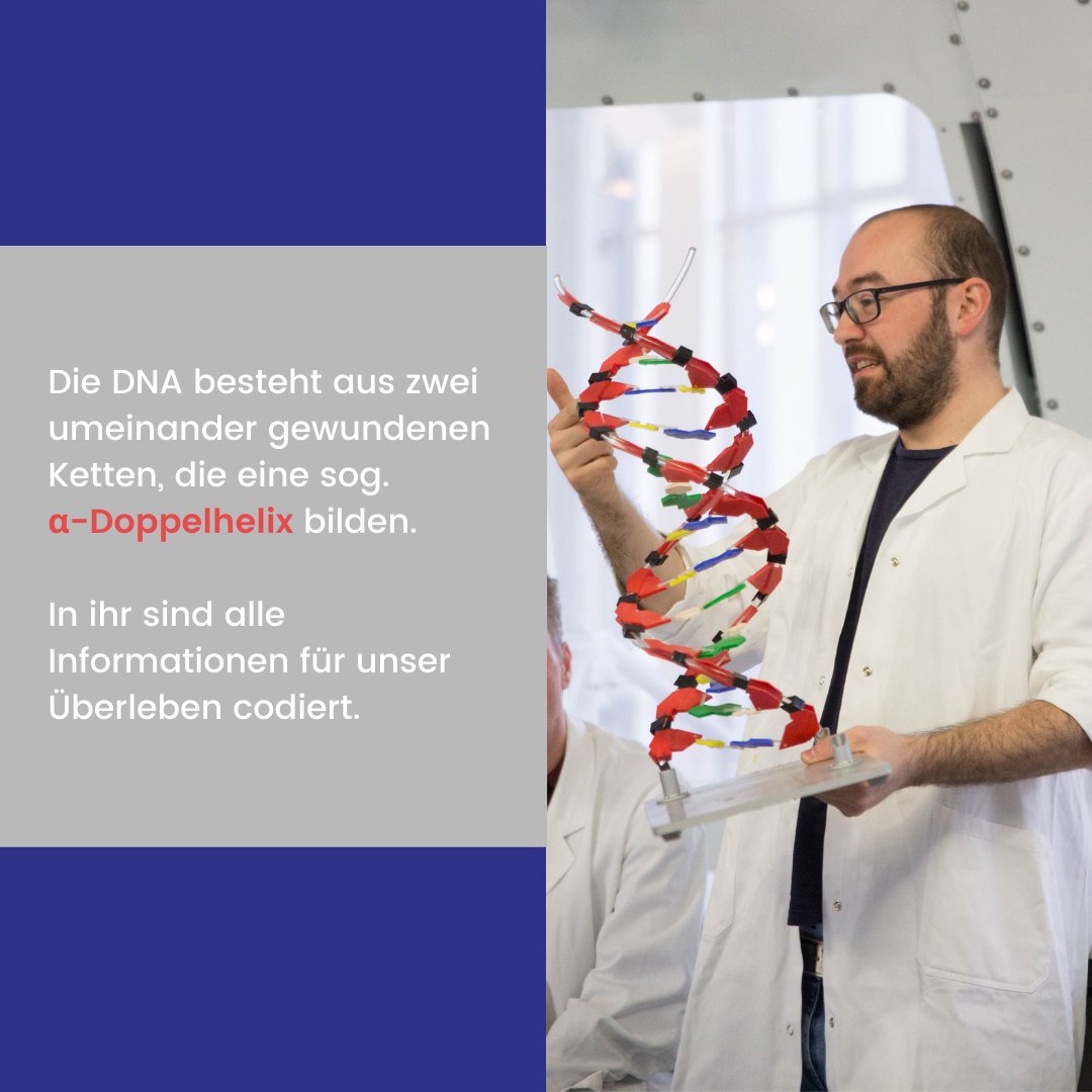 aeliusfoerder's tweet photo. Zum heutigen #WorkshopDonnerstag nehmen wir Dich ganz woanders hin mit - ins DNA-Labor des Deutschen Museums in München!
Das klingt interessant für Dich? Dann bleib gespannt - unser nächster Workshop im DNA-Labor kommt bestimmt! https://t.co/QreqmlgQH4