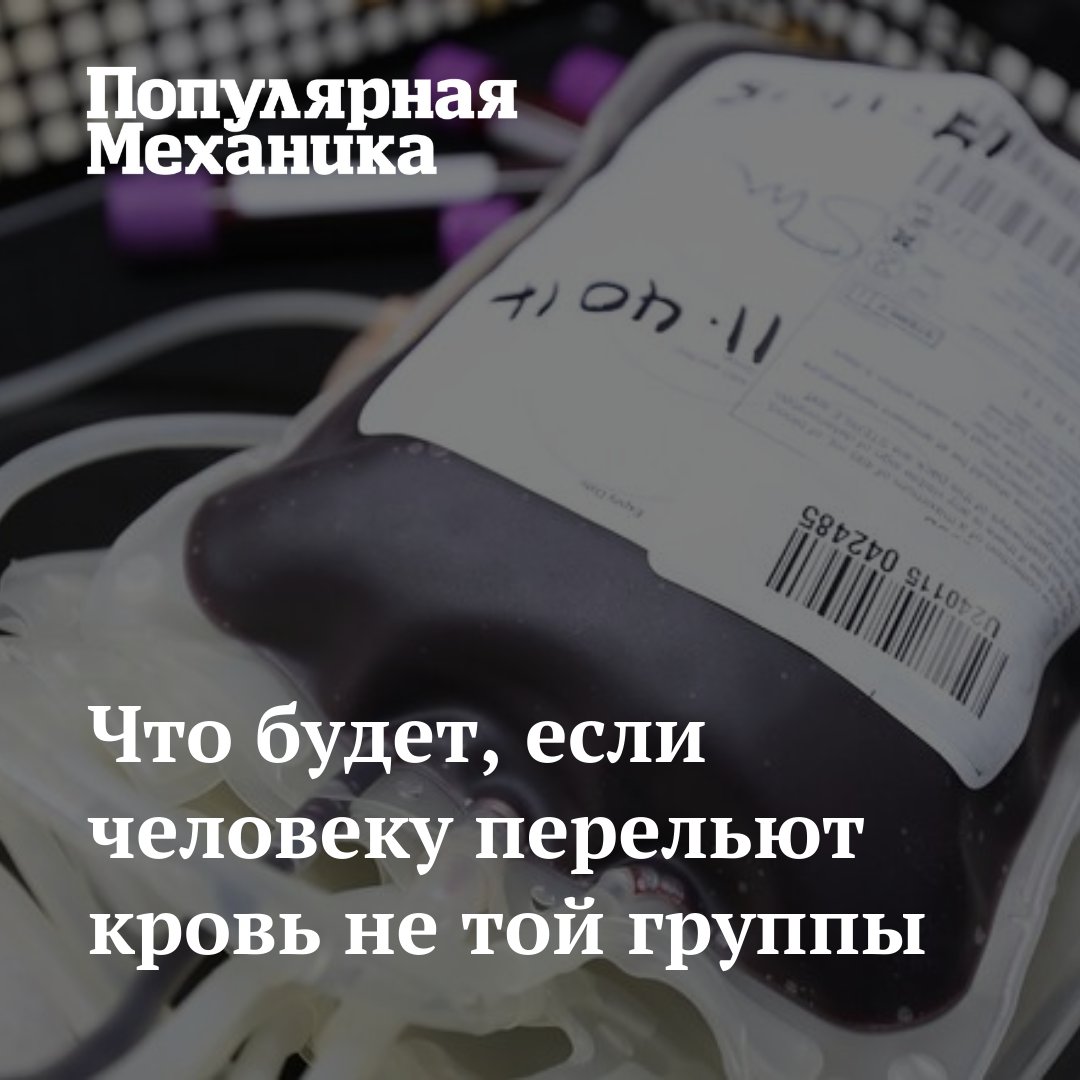 TechInsiderru's tweet photo. Не все знают свою группу крови, но многие слышали о том, что они бывают «несовместимыми». Чем отличается кровь одного типа от другого?

https://t.co/Swt6qymnZ0 https://t.co/kW1MoaK4Qj