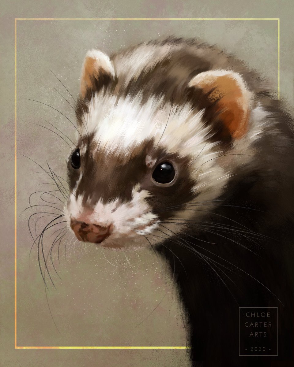 It's that time again!  #AnimalArtistsUniteIf you do animal art of any kind (fantasy + (SFW) anthro included), introduce yourself and post your animal art using the tag!I'm Chloe, a digital painter of animal faces See you all in the tag - have fun!