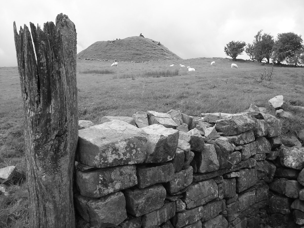 Durotrigesdig's tweet photo. In the #Mabinogion, Tomen-y-Mur was Mur Castell, the court of Lleu Llaw Gyffes and his flower-conjured wife Blodeuwedd

Little is known about the tomen itself, a 6.5m high Medieval castle mound, which reused the Roman fort wall as an outer bailey

#RomanFortThursday https://t.co/qhZyFMTD36