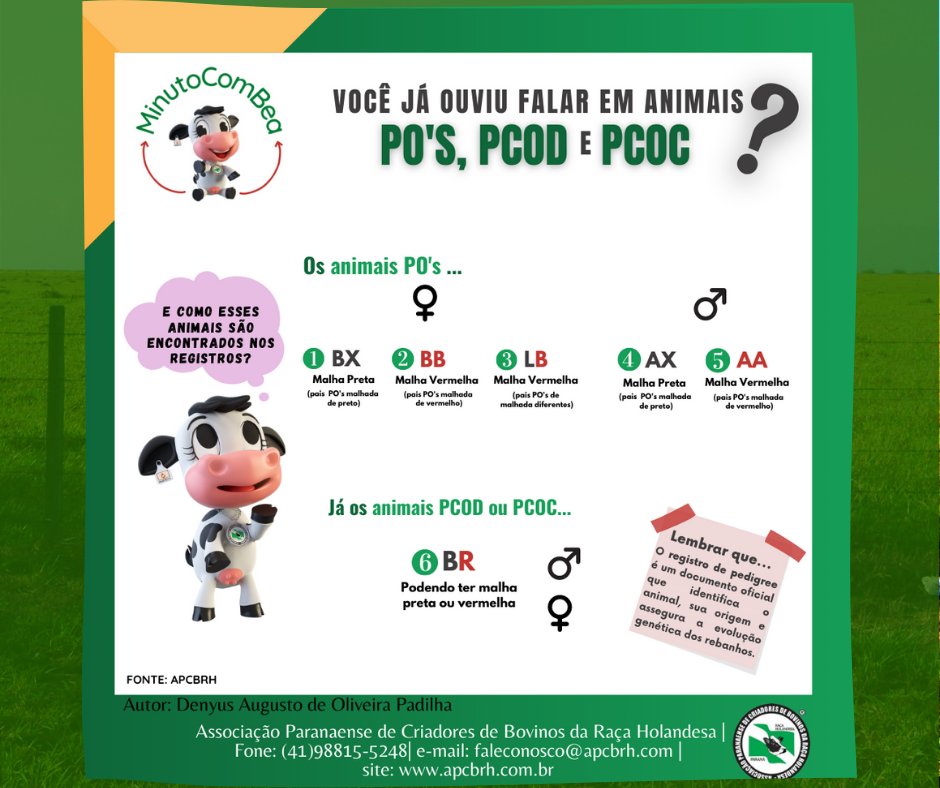 Mais pílulas de conhecimento com nossa mascote Bea!

Você tem dúvidas sobre a Raça Holandesa? Gostaria de melhorar a sua produção e o bem-estar animal em seu rebanho?

Fale com a gente!
apcbrh.com.br