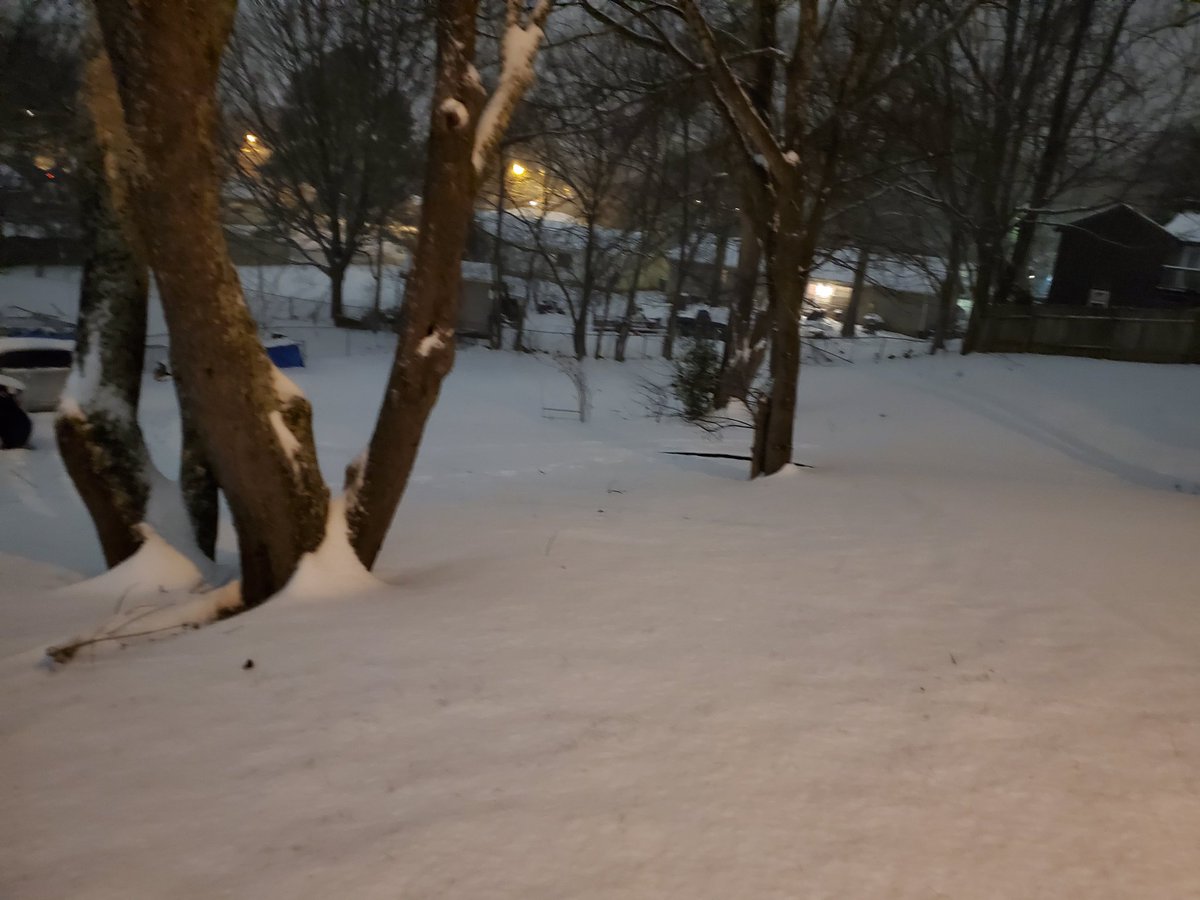 PersevereKennel's tweet photo. @spann Hsv last night around 8:30pm https://t.co/xUxiFxy8Xj