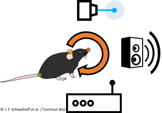 Rheinische Friedrich-Wilhelms-Universität Bonn (@unibonn) on Twitter photo Real-time behavioral analysis using artificial intelligence: New method developed by <a href="/SNeuroconnect/">SchwarzNeuroconnect</a> Group establishes connection between neuronal networks and behavior. <a href="/CommsBio/">Communications Biology</a> #DeepLabStream #OpenScience Read more: doi.org/10.1038/s42003… & uni-bonn.de/news/real-time… Real-time behavioral analysis using artificial intelligence: New method developed by <a href="/SNeuroconnect/">SchwarzNeuroconnect</a> Group establishes connection between neuronal networks and behavior. <a href="/CommsBio/">Communications Biology</a> #DeepLabStream #OpenScience Read more: doi.org/10.1038/s42003… & uni-bonn.de/news/real-time…