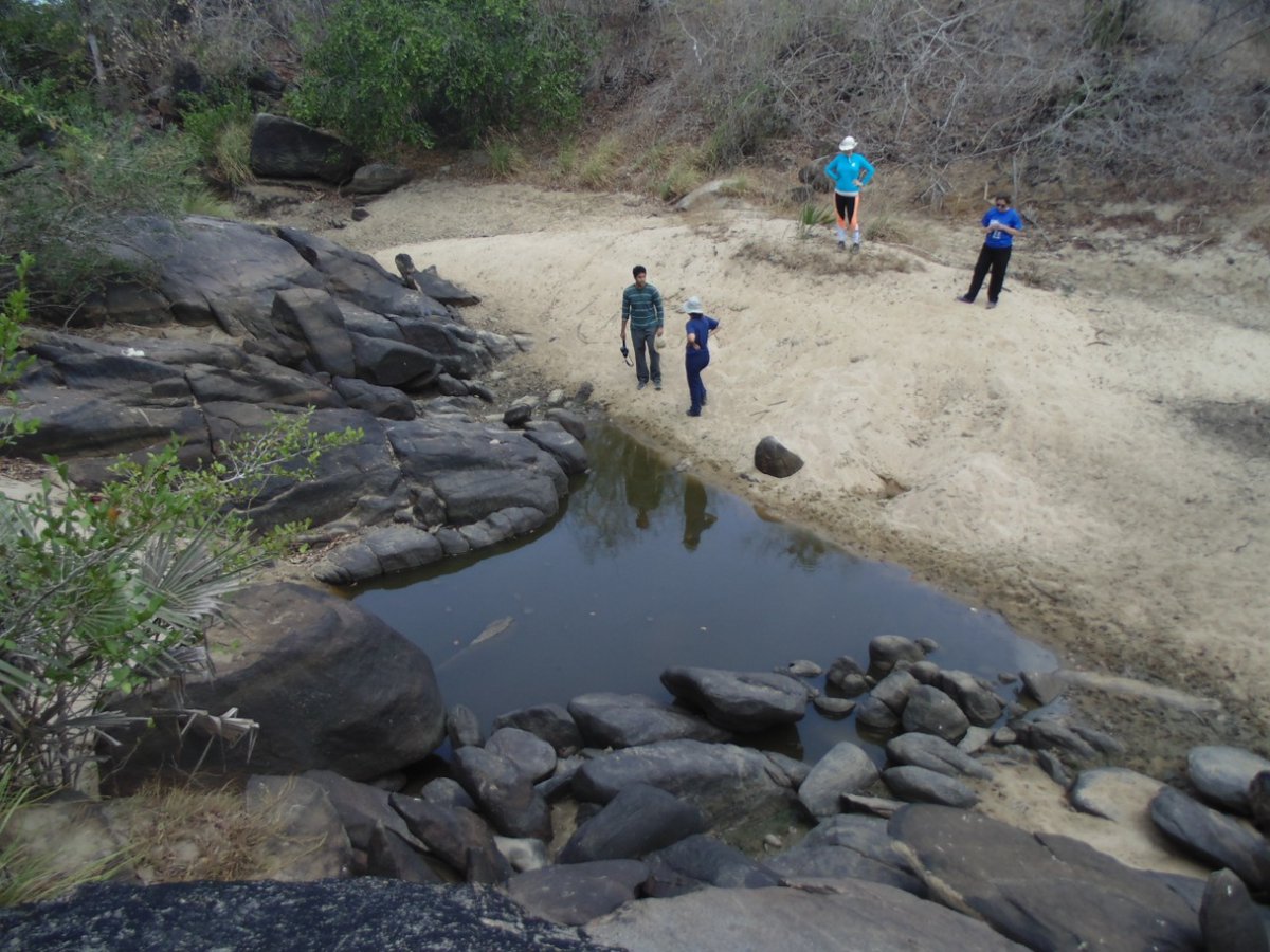 1000IRP's tweet photo. Meet the team 💦 Drª Carla Rezende and her team from @BrazilianRivers are sampling naturally intermittent streams from Brazilian semiarid climate. https://t.co/FUuvO69je7
