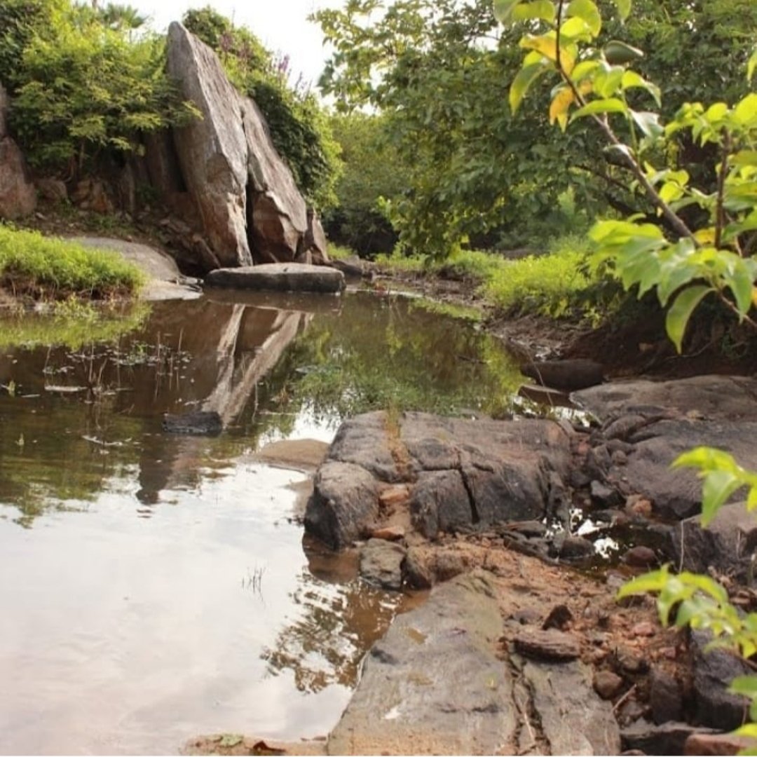The 1000 Intermittent Rivers Project (@1000irp) on Twitter photo Meet the team 💦 Drª Carla Rezende and her team from <a href="/BrazilianRivers/">Naturally Intermittent Brazilian Rivers</a> are sampling naturally intermittent streams from Brazilian semiarid climate. Meet the team 💦 Drª Carla Rezende and her team from <a href="/BrazilianRivers/">Naturally Intermittent Brazilian Rivers</a> are sampling naturally intermittent streams from Brazilian semiarid climate.