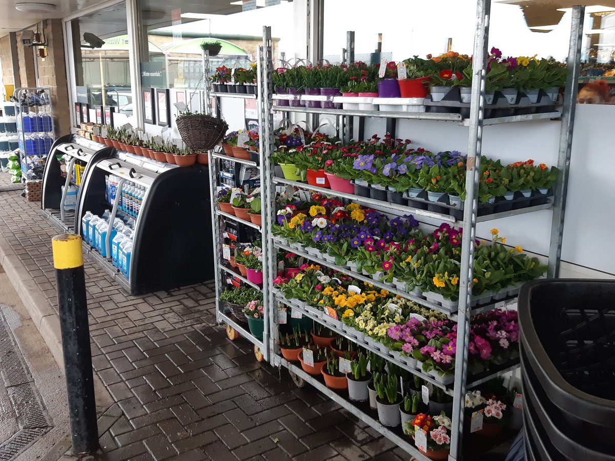 Spring has arrived at Lane Head Road. Lets bring on the sunshine 🌼🌼🌼🌼@mycoopfoods <a href="/ClaireKoziol/">Claire Koziol</a> <a href="/garton_matthew/">matt</a> @PaulalanDennis
