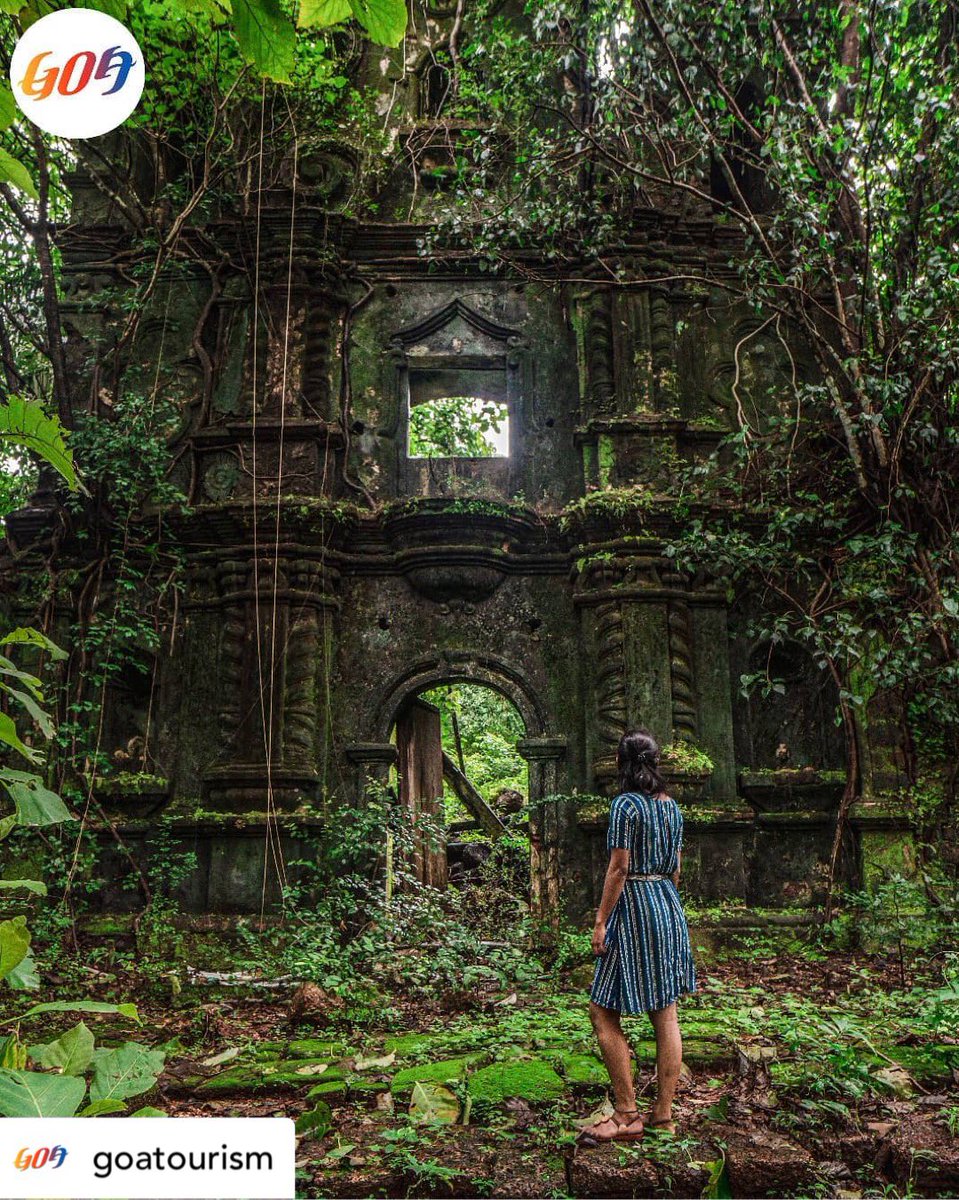 tourismgoi's tweet photo. #Repost • @TourismGoa 
#DekhoApnaDesh
•••
Deep into the jungle, hidden behind playful trees, the spirited ruins of the Church of Our Lady of Mount Carmel.

Photo credit: The Local Bus https://t.co/2NzsMj0ctx