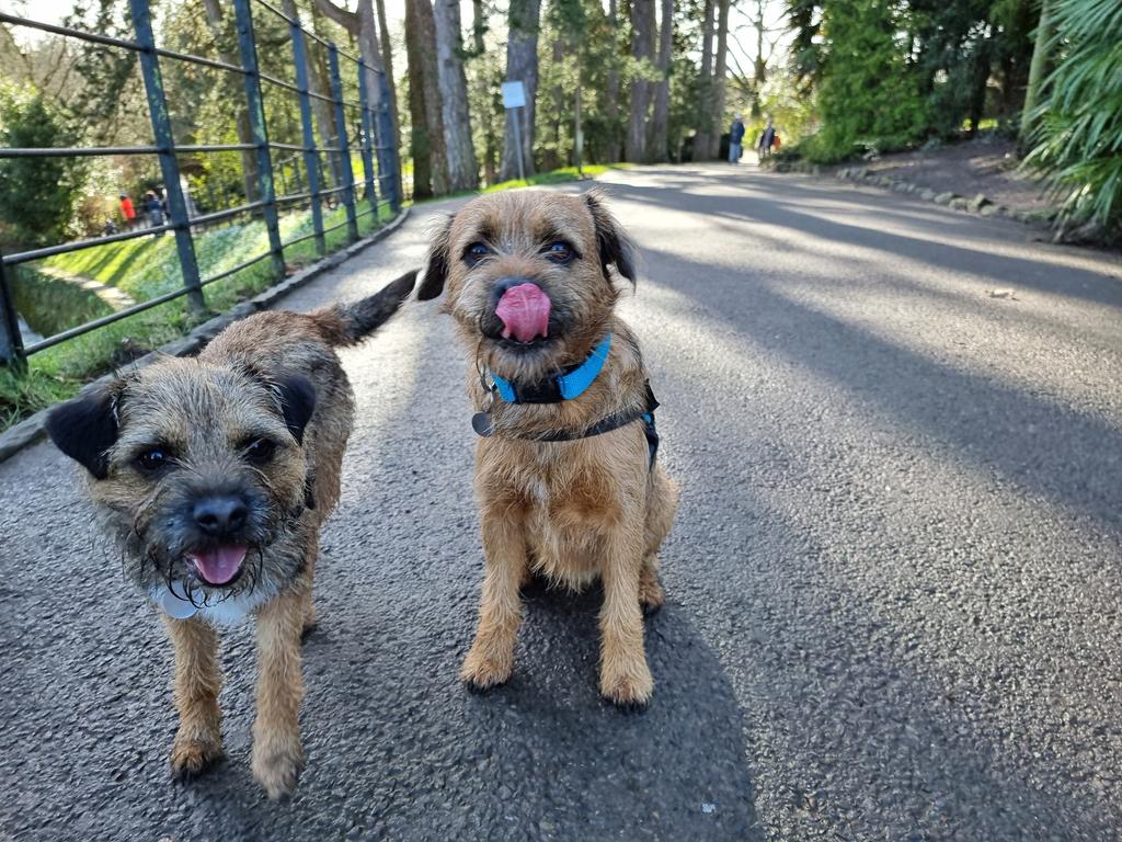 Baxter_Project's tweet photo. #RoathPark isn't the same without pupils 😕 #halfterm
Can't wait to be back in schools next week 💪
#TheBaxterProject #LockdownSupport #TraumaInformed #Wellbeing #WellbeingMatters #ACEaware #BreakTheMold @tagcic https://t.co/tYFVTElC5N