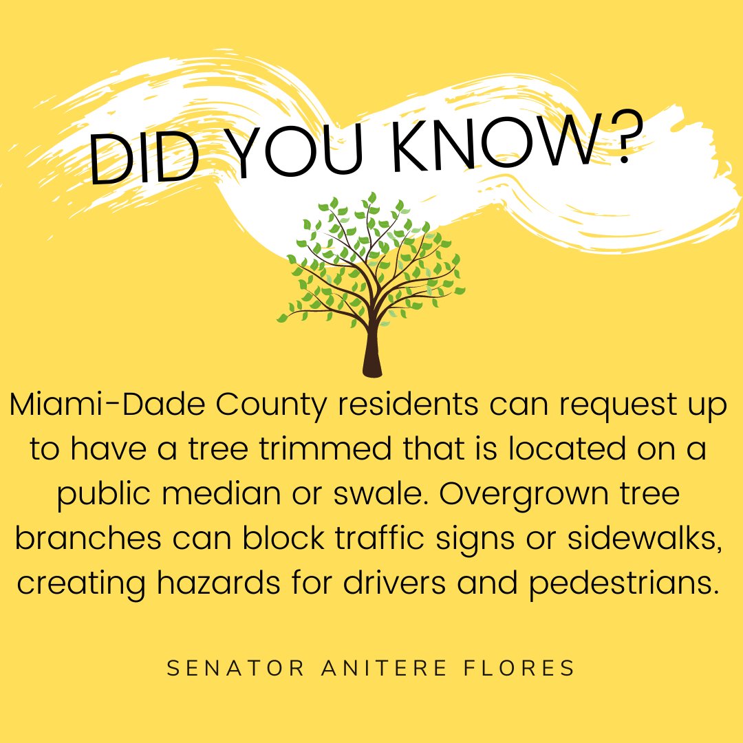 anitere_flores's tweet photo. Do you have County trees in your neighborhood that require attention? Are there trees on major streets blocking signs? You can report this to 311! #countyservices #treetrimming #miamidadecounty https://t.co/sIocO8lN0E
