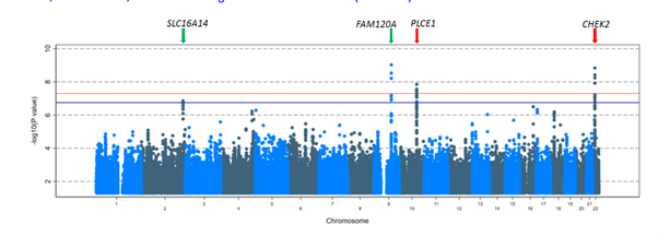 Wenlong Carl Chen,  @Phried_fonix  @SBIMB, presents his  #GWAS of esophageal squamous cell carcinoma – first such study in Africa, where this cancer has a high prevalence. Trans-ancestry meta-analysis of African and Chinese GWAS ids 3 hits  /4