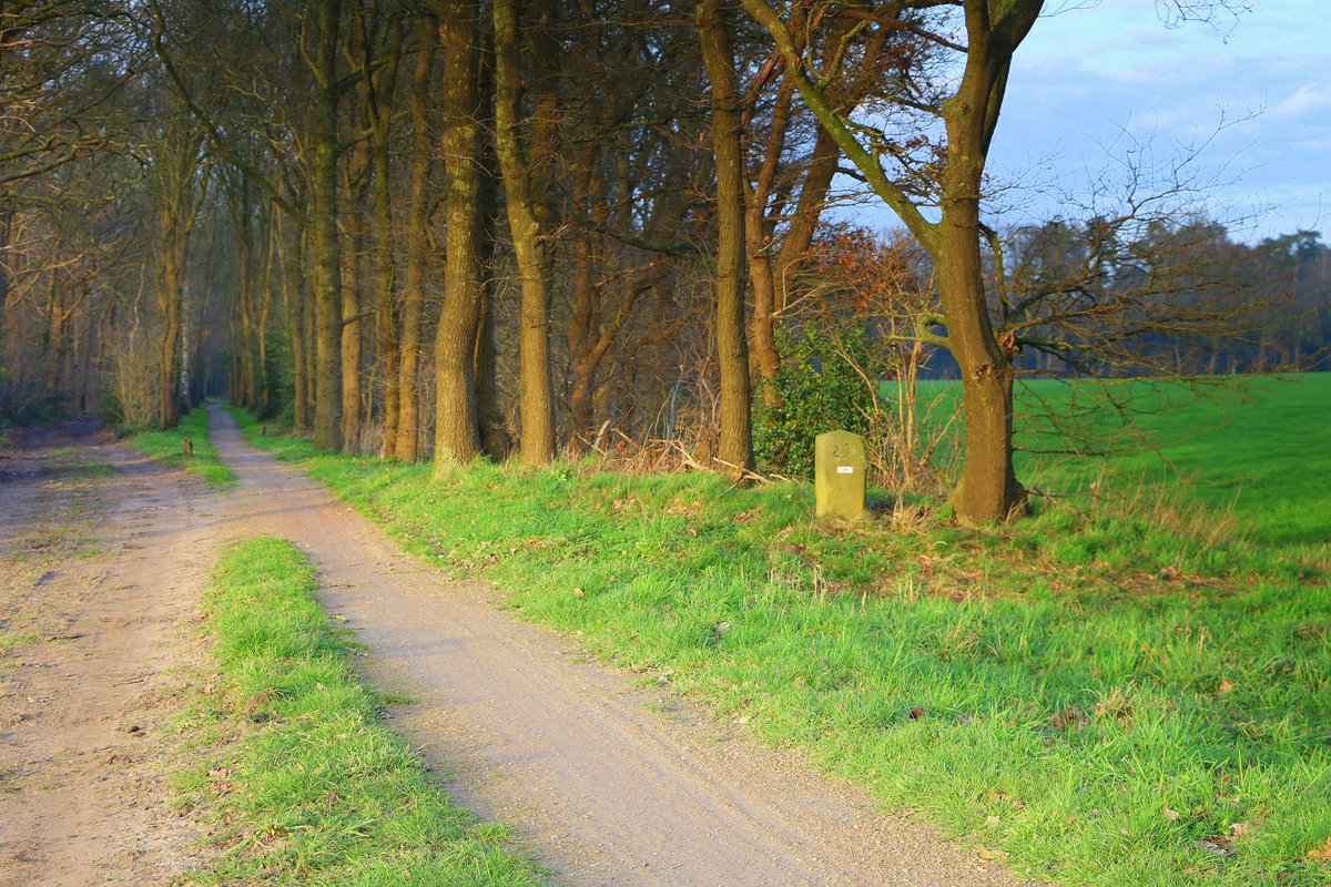 Visit De Lutte Losser tweet media