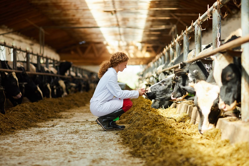 SostenCarni's tweet photo. L’86% degli #alimenti per #animali d'#allevamento è di prodotti non edibili per l’uomo (#foraggi, sottoprodotti #IndustriaAlimentare ecc). Questa sì che è #EconomiaCircolare! https://t.co/z9fWAGmMi5 E che dire a livello di #emissioni, o #ImprontaIdrica? Se n'è parlato in #Senato. https://t.co/lNpuJoNlA2