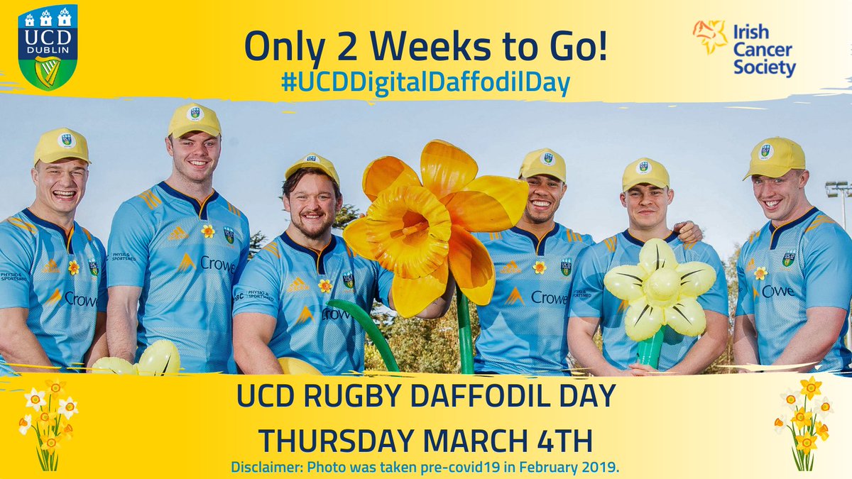 UCDRugby's tweet photo. With only 2 weeks to go to Daffodil Day it is important that we continue to spread the word. 

Over the next few days, we will be releasing information on the fantastic prizes we have to offer. 

#UCDDigitalDaffodilDay @IrishCancerSoc https://t.co/GP9PYki93Z