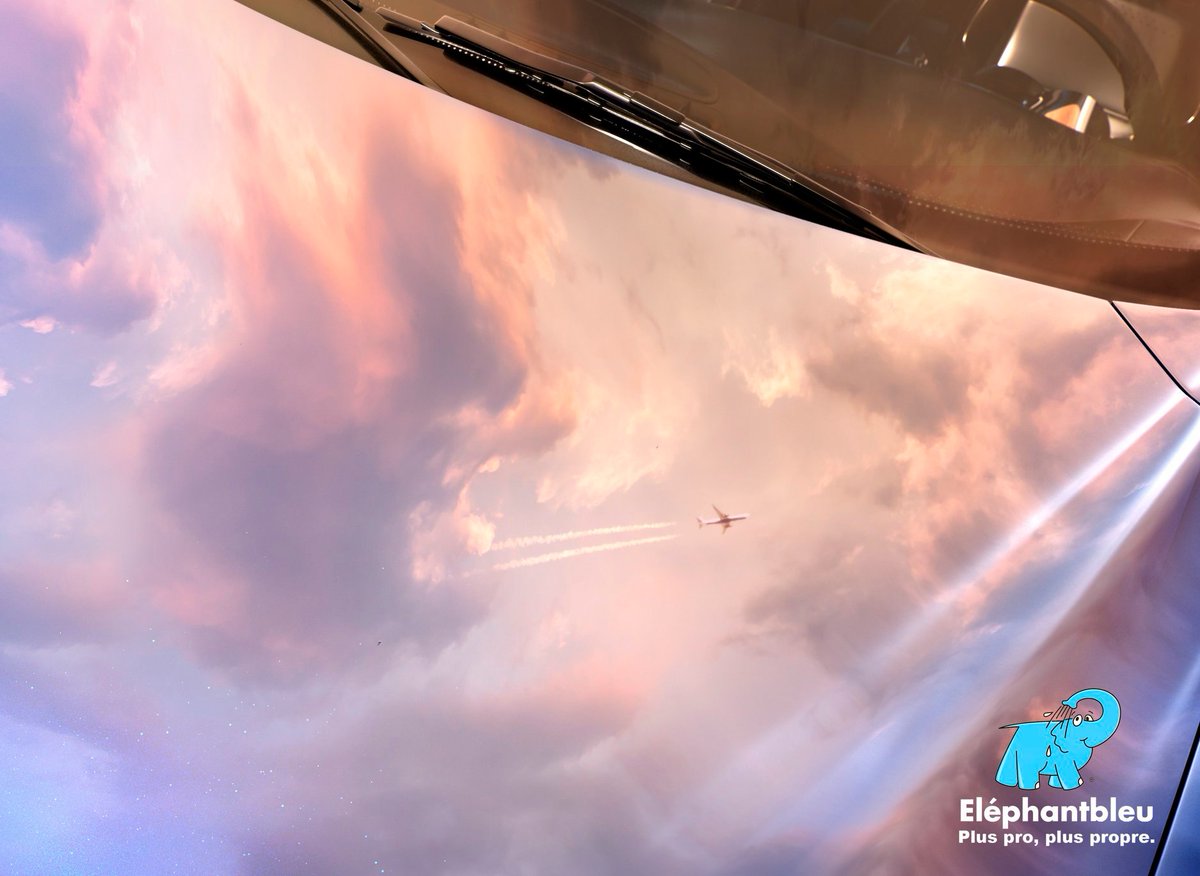 Nouvelle campagne de communication #ElephantBleu, entre impressionnisme et réalisme… Superbe !
#ServicePlan #communication #automobile #PlusProPlusPropre