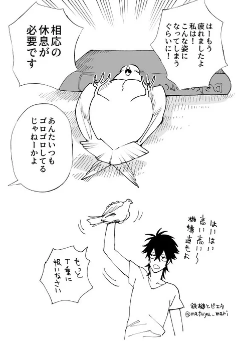 【落書き】これは疲れるとポメラニアン…ではなく鳩になってしまう天使様 