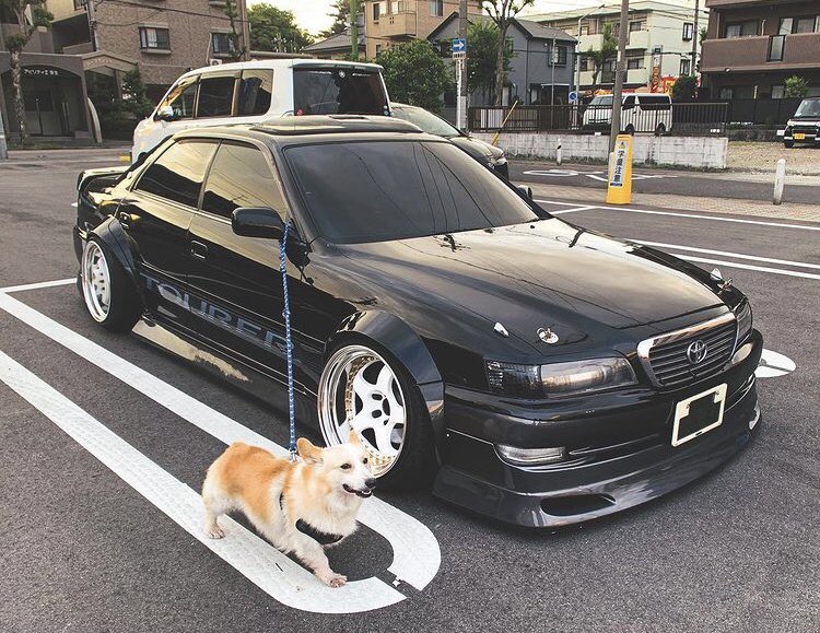 JDMUNIV's tweet photo. doggo and car https://t.co/9RkMeeTlEl