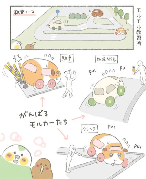 モルカーとカカポとキーウィ。

モルカーの教習所は多分こんな感じかな?ってイメージして描いてみたよ。 