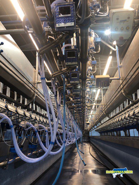 dairymaster's tweet photo. Check out the largest Fast Exit parlour in Scotland! This farm recently installed a 40 unit Dairymaster Fast Exit parlour to milk 500 cows. What an impressive operation! #Dairymaster #FastExit #BuildingBetterProducts https://t.co/tqcXKzET2e