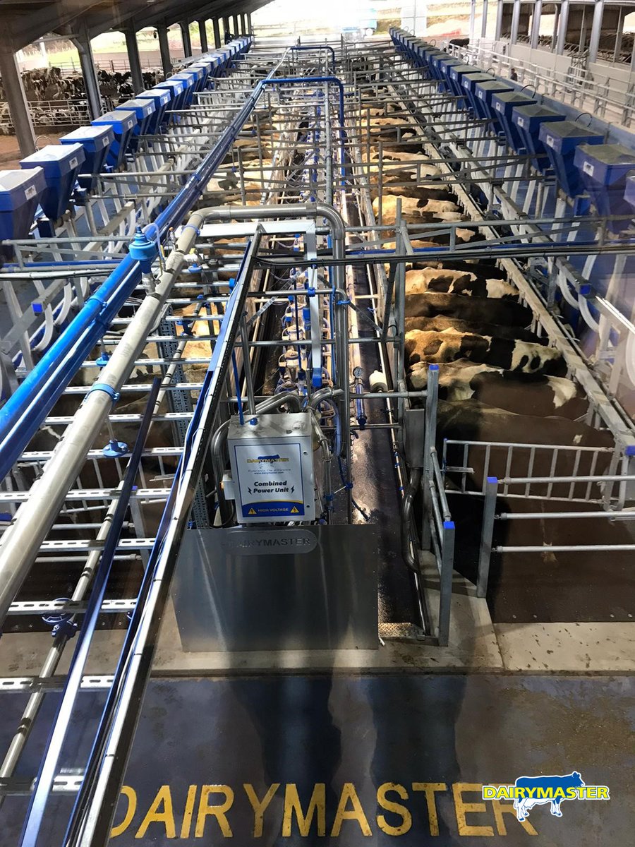 dairymaster's tweet photo. Check out the largest Fast Exit parlour in Scotland! This farm recently installed a 40 unit Dairymaster Fast Exit parlour to milk 500 cows. What an impressive operation! #Dairymaster #FastExit #BuildingBetterProducts https://t.co/tqcXKzET2e