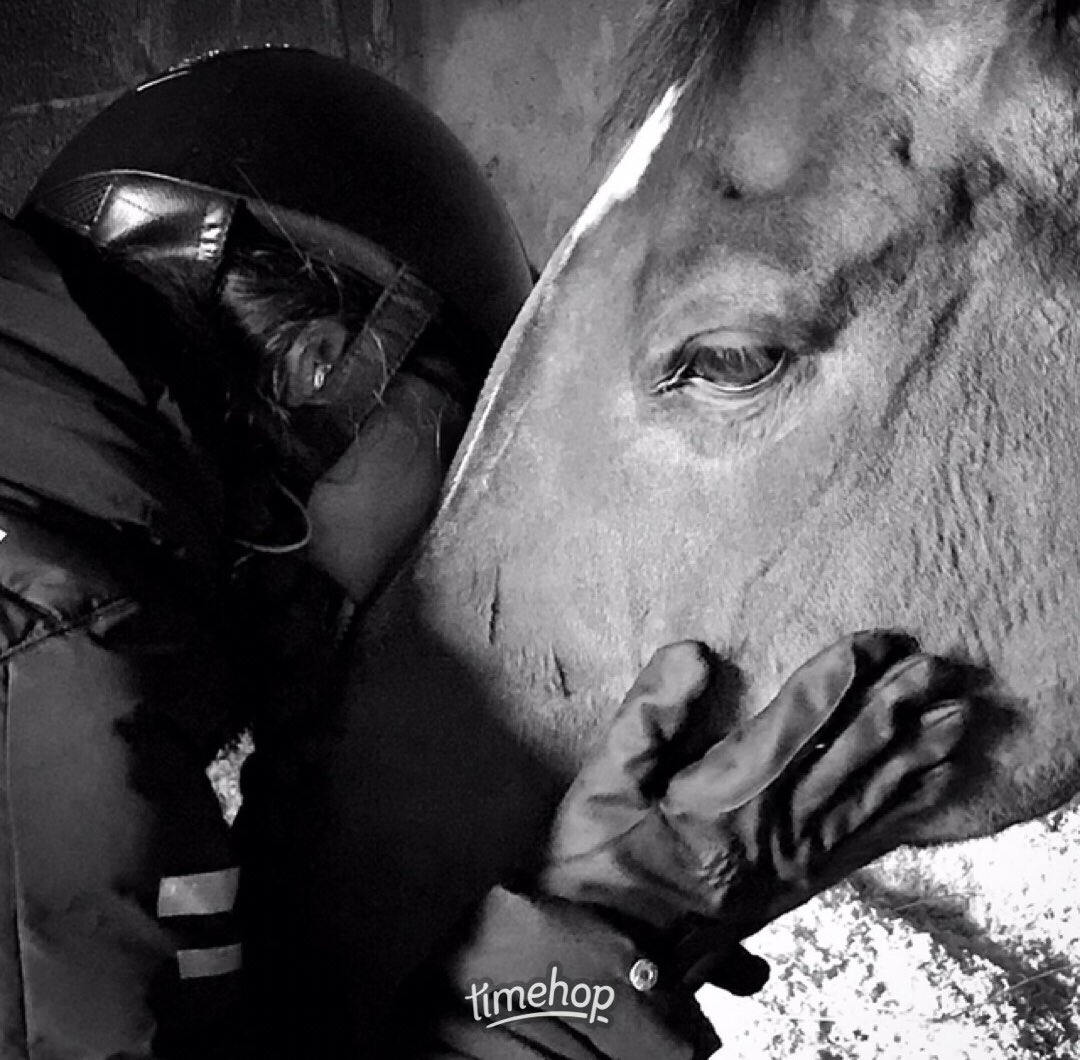 Roko will always love a snack and nap... but how cute is he?#throwbackthursday #horsesofinstagram #morningsnooze #twohearts #chillout #memories #smile #dressagepony #bestfriends