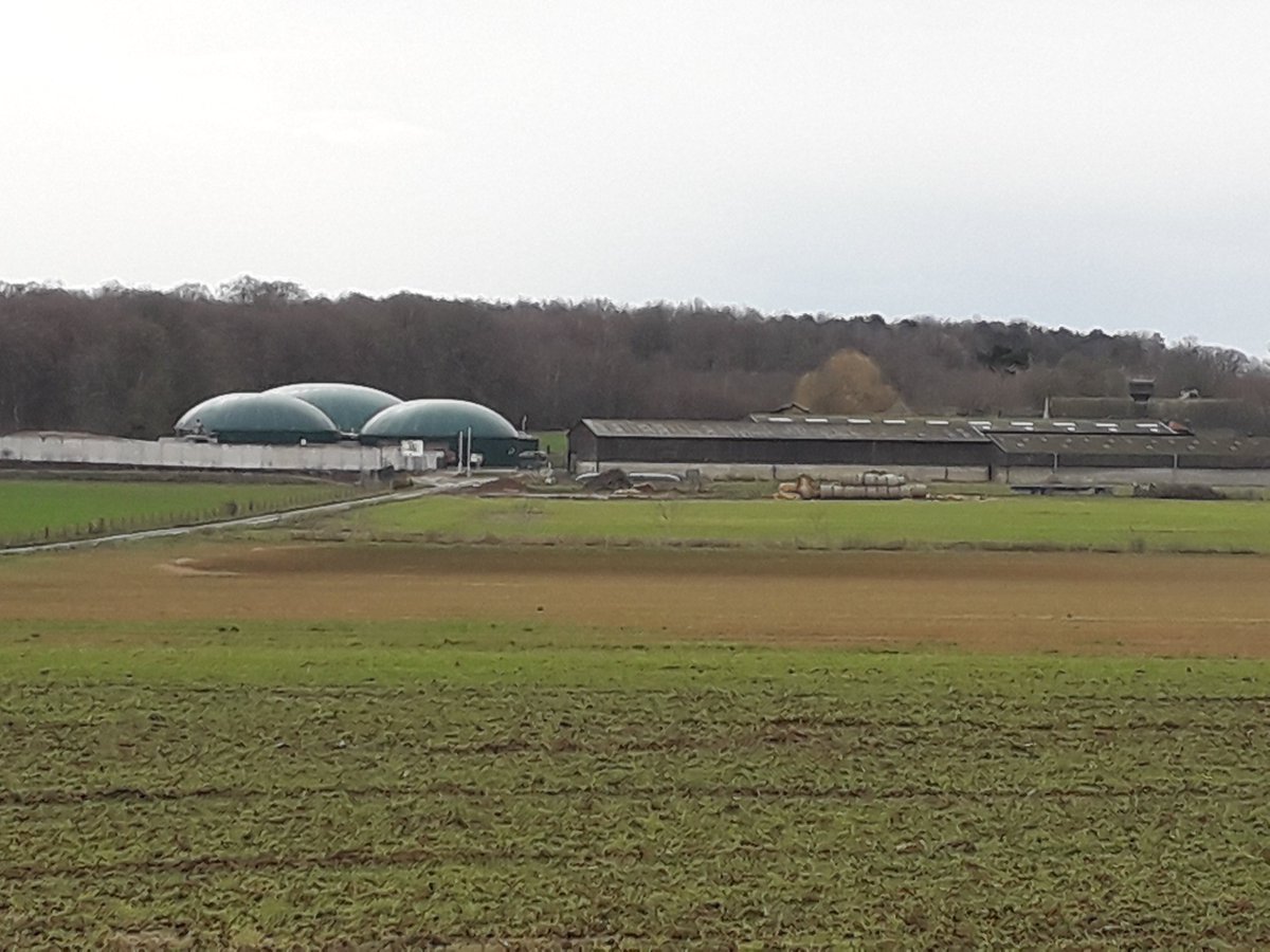 Cosquer Arnaud tweet media