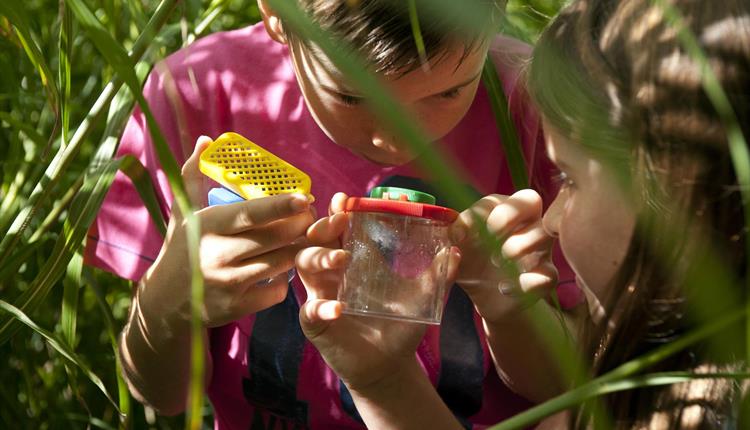 Use this great outdoor educational tool produced by <a href="/CampHillEstate/">The Camp Hill Estate</a> to allow children to experience #nature, develop life skills and bond with one another in the joys of the #outdoors. 👏🦋🐌🐝🌱🤩

👇countrysideclassroom.org.uk/resources/1403