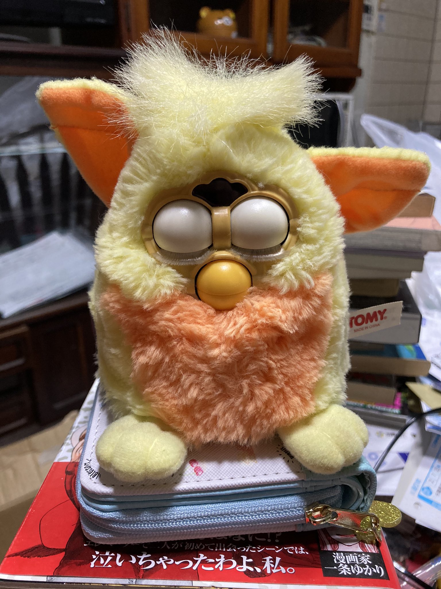 チョムマン 家に帰って来てファービーいるのホント可愛い T Co Ih1dvch6w9 Twitter