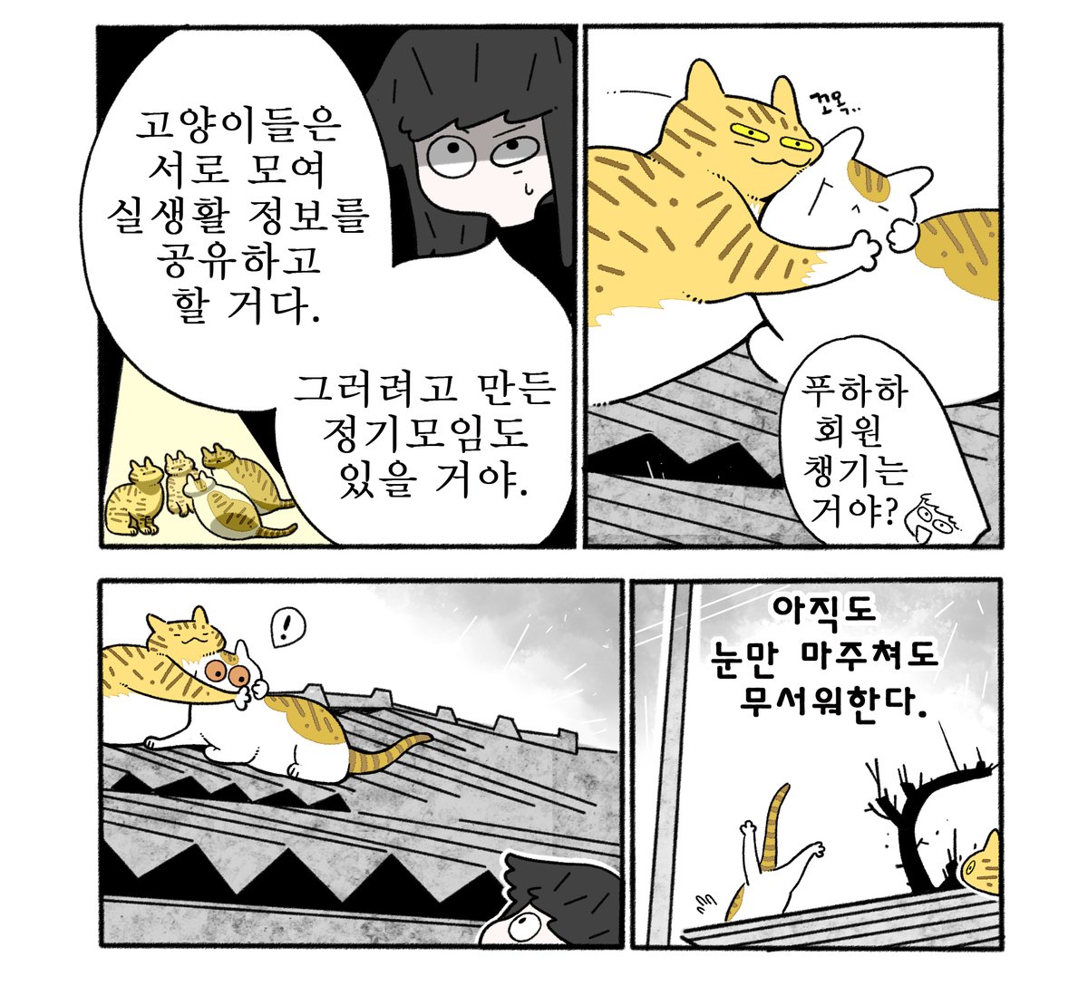Tong_Gae's tweet photo. 새로 만난 고양이 1 https://t.co/EK74MFgC0X