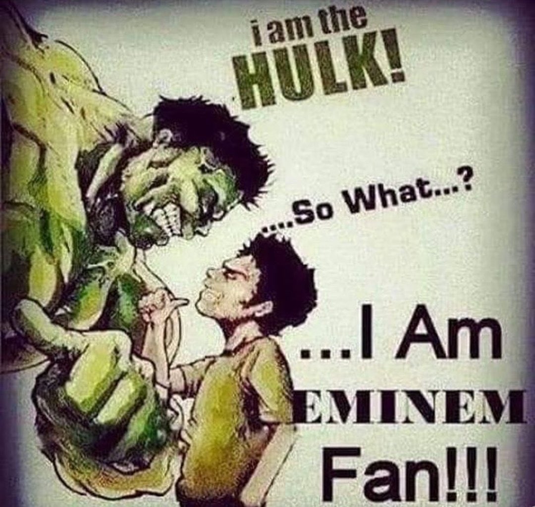 RT @LiminalsSpace: why does the eminem fan in this pic look liek dan from dan vs https://t.co/5NLsAEmZ0l