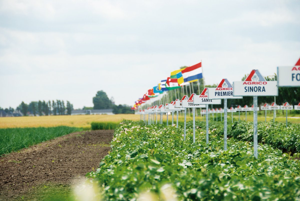 Wij zijn op zoek naar een productmanager! Heb jij passie voor aardappelen en lijkt het je leuk om een rol te hebben in het wereldwijd introduceren van nieuwe rassen? Adviseer jij graag binnen- en buitenlandse telers/afnemers? Bekijk hier de vacature: bit.ly/3k4wKGX