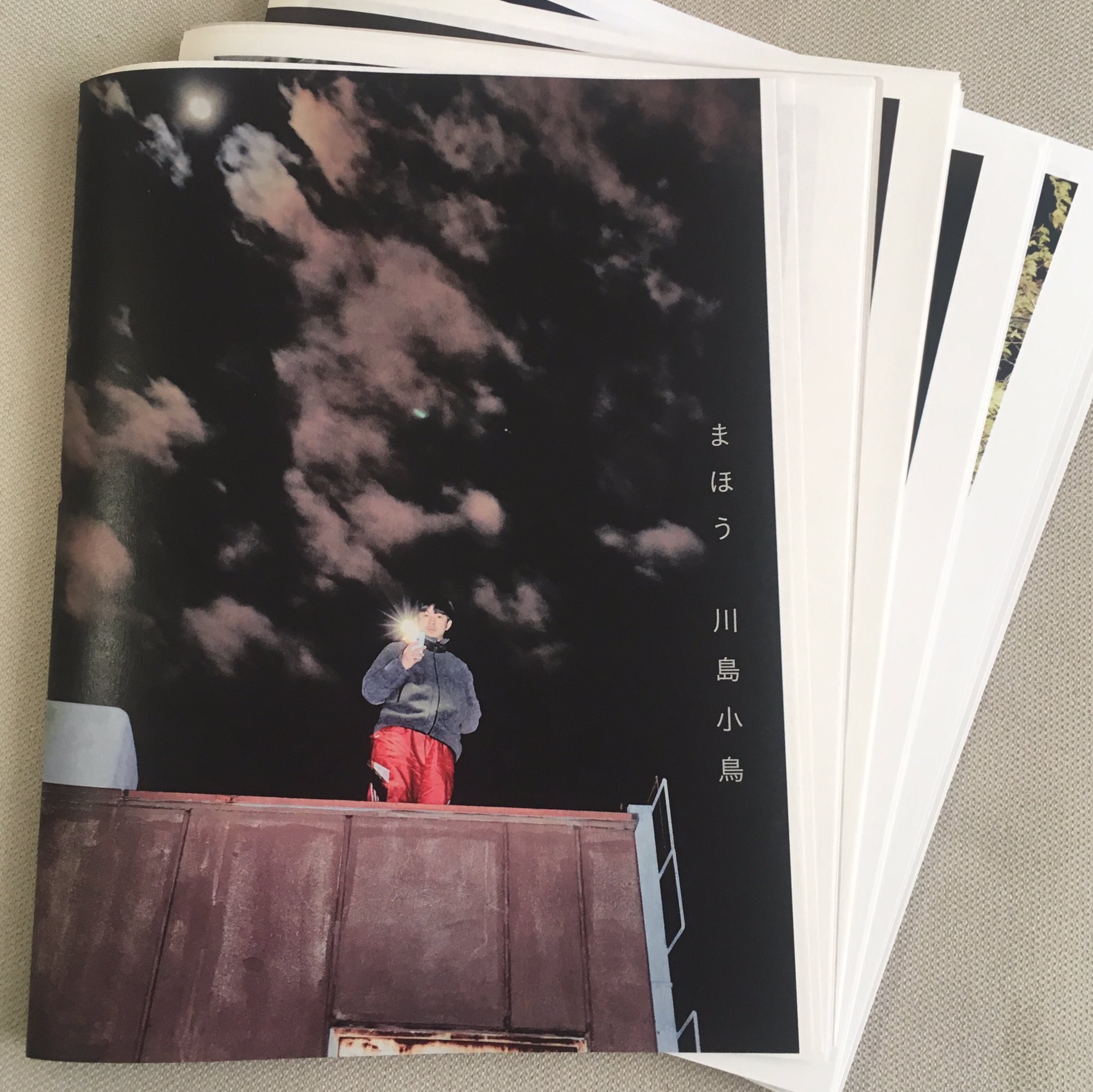 川島小鳥 まほう ZINE - アート/エンタメ 川島小鳥 まほう ZINE - アート/エンタメ